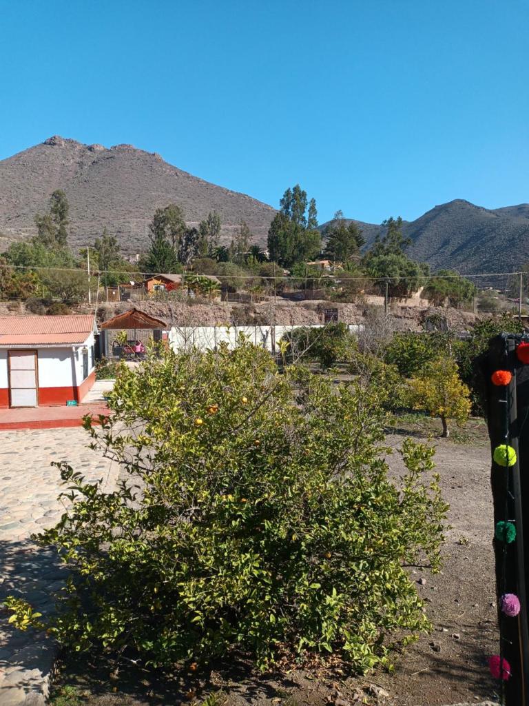 Casa Elba Molle photo 4