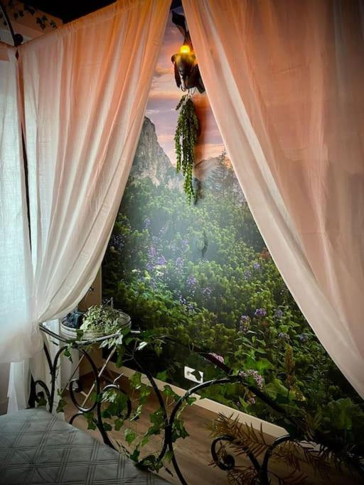 NEWS * Le Gîte de l’Anneau* Insolite photo 4