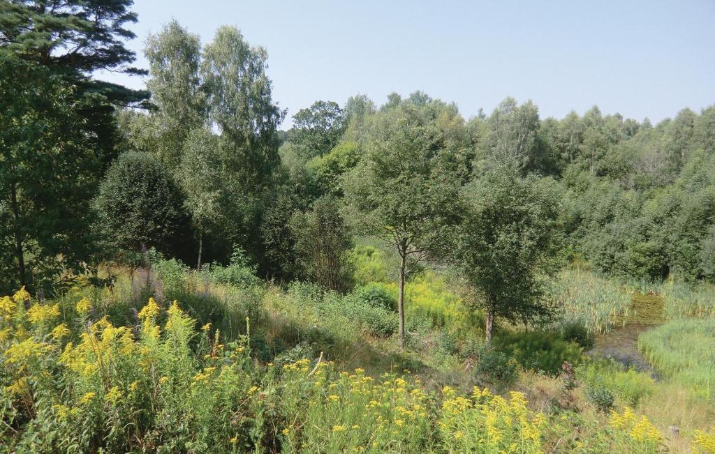 Stunning Home In Ljungbyhed With 3 Bedrooms, Sauna And Wifi photo 1