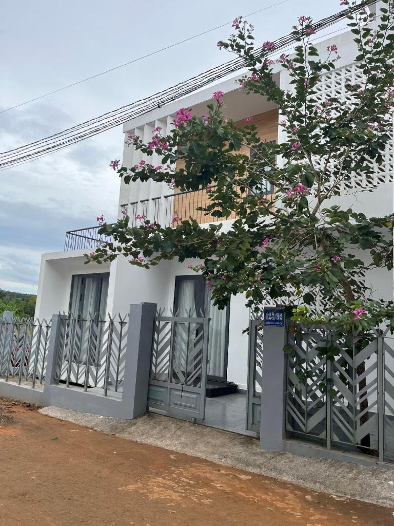 Thông Villa photo 1