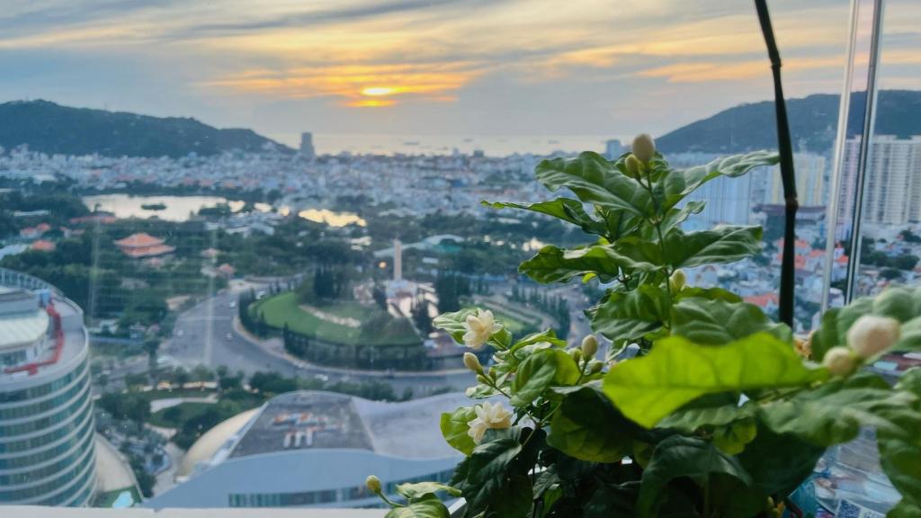 The Song-VungTau apartment