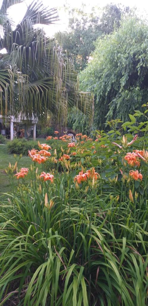 Armonía y Naturaleza B&B Hostería Exclusiva photo 1