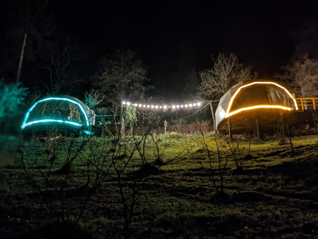 Ajara Glamping Kokotauri photo 1