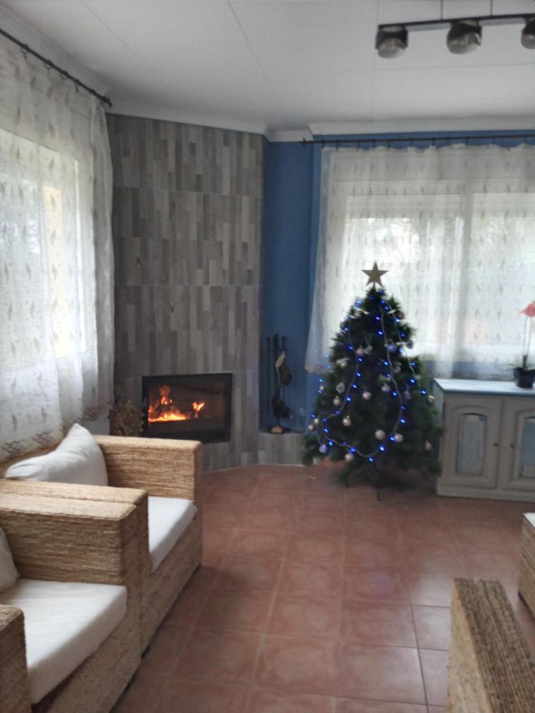 Romani,26 photo 1