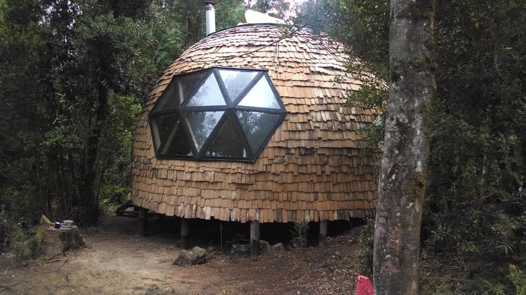 Domo del bosque photo 4