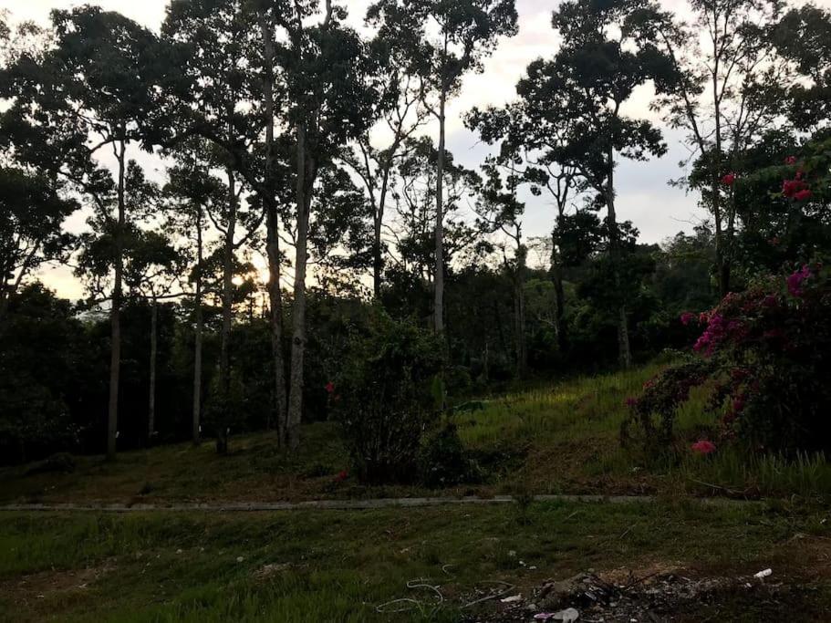 Teratak An Nur: A village on top of the hill photo 2