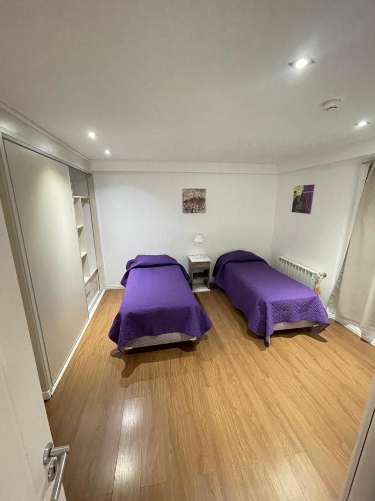 Entire apartment in Patagonia rebate in physical dollar photo 4