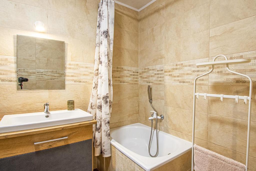 apartmán 1kk Zlámanka photo 2