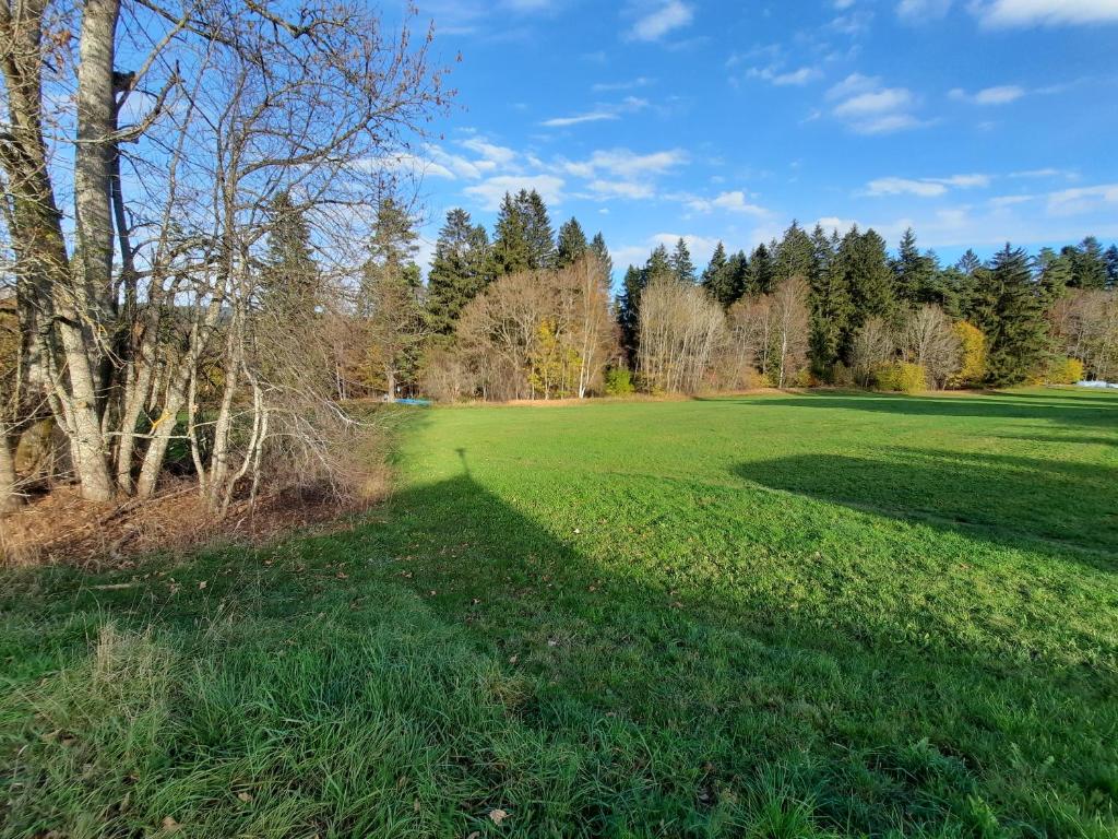 Ferienhaus Ketterer Hinterzarten photo 4