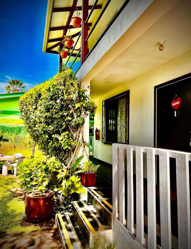 BUDDA HOME photo 2