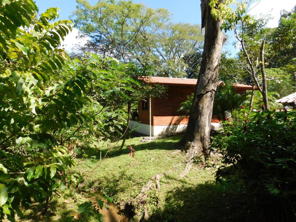 Villasjungle 2 photo 4