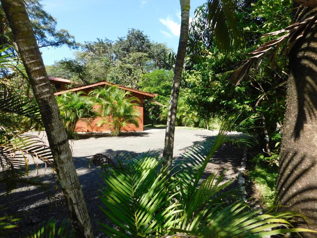 Villasjungle 2 photo 1