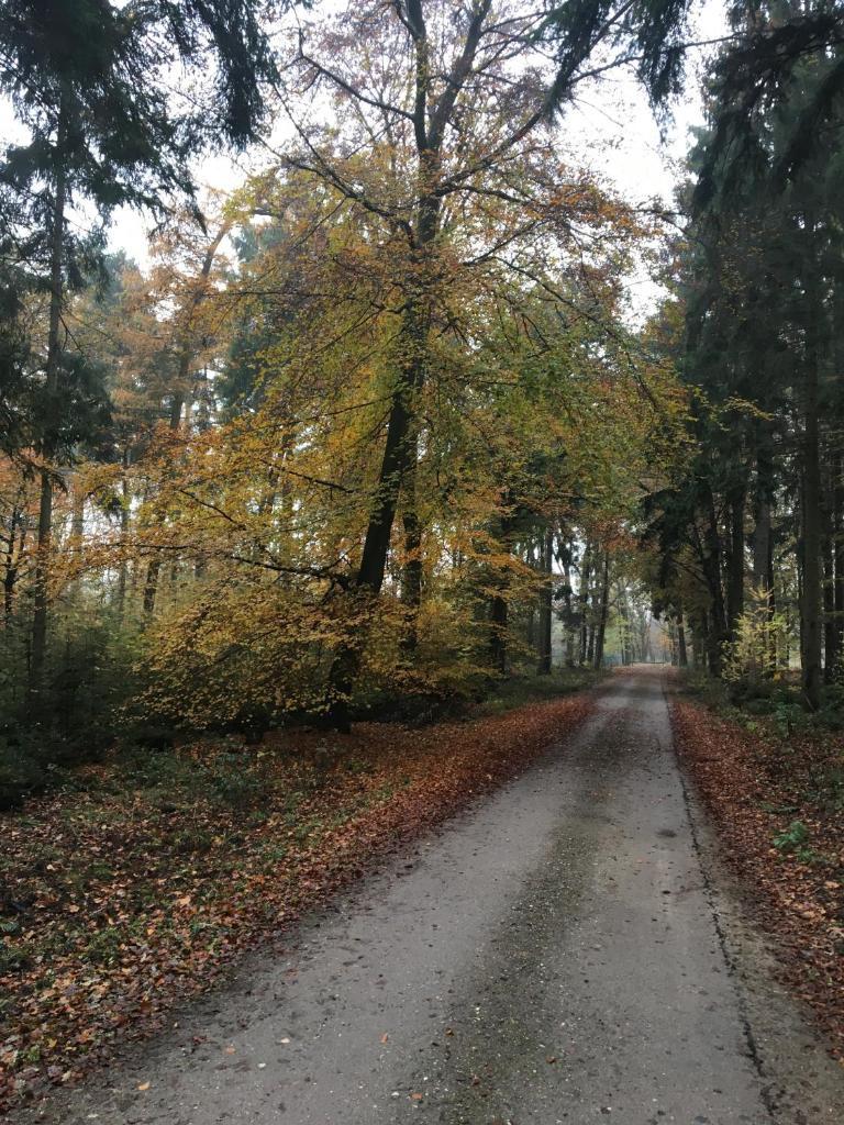 WijkD photo 3