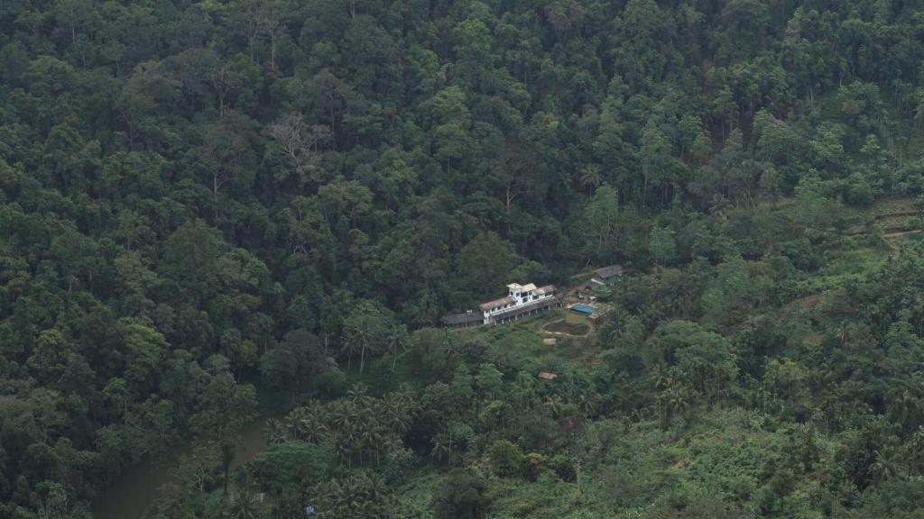 Sinharaja Forest Edge photo 2