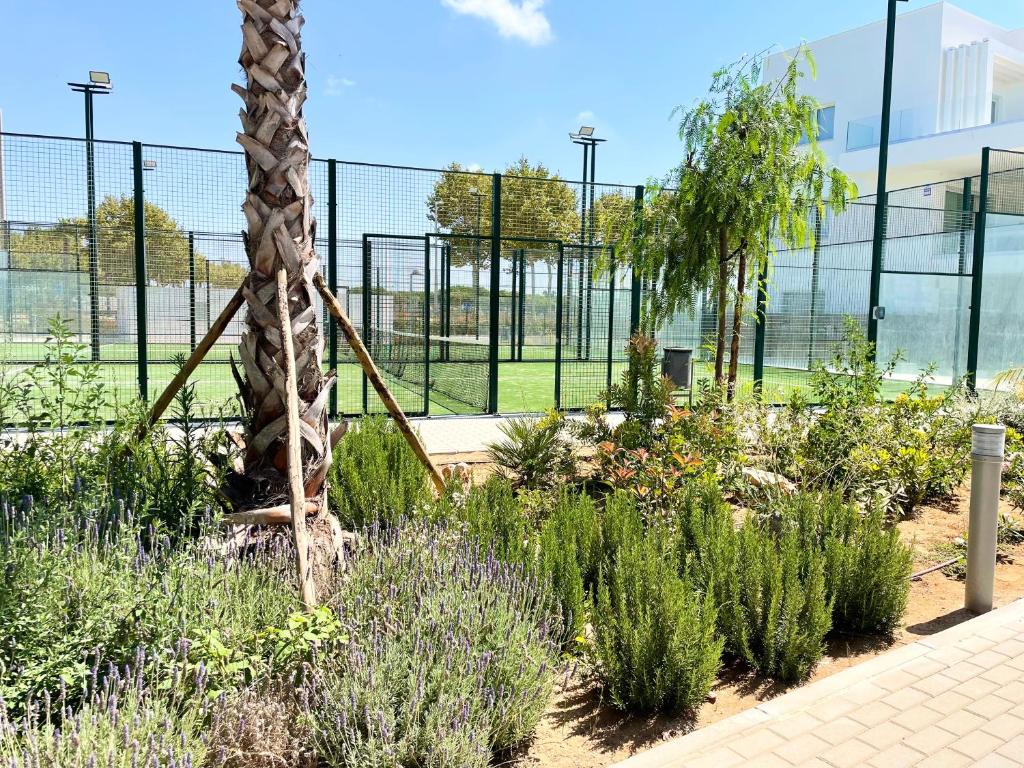 Apartamento en Costa Ballena photo 2