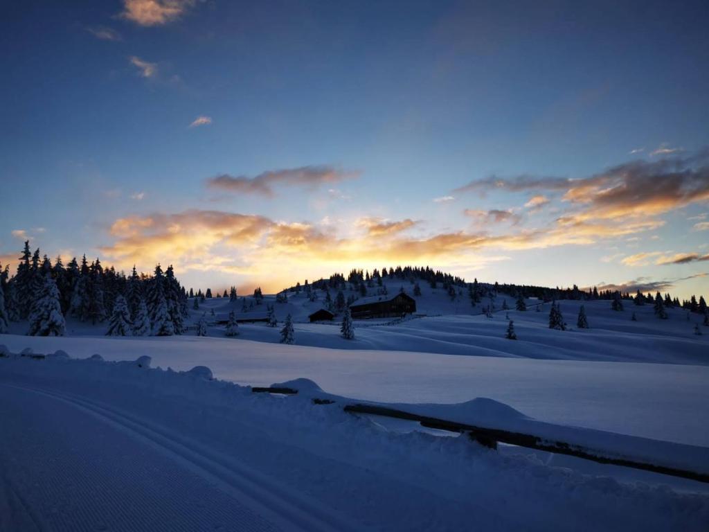 Starkenfeldhütte photo 3