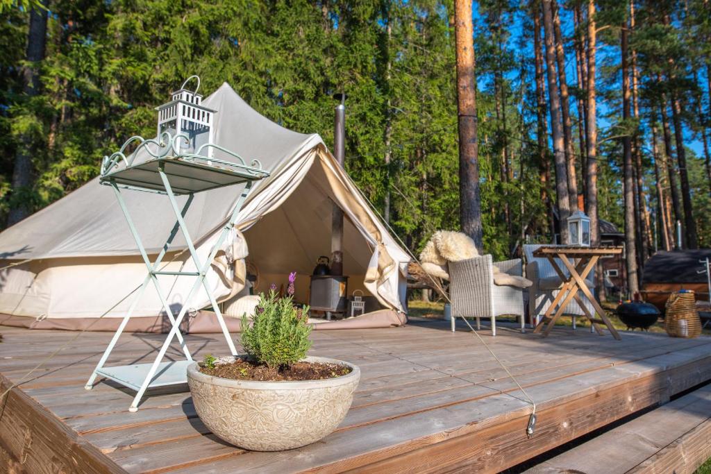 Saarjärve Puhkemaja Glämping photo 1