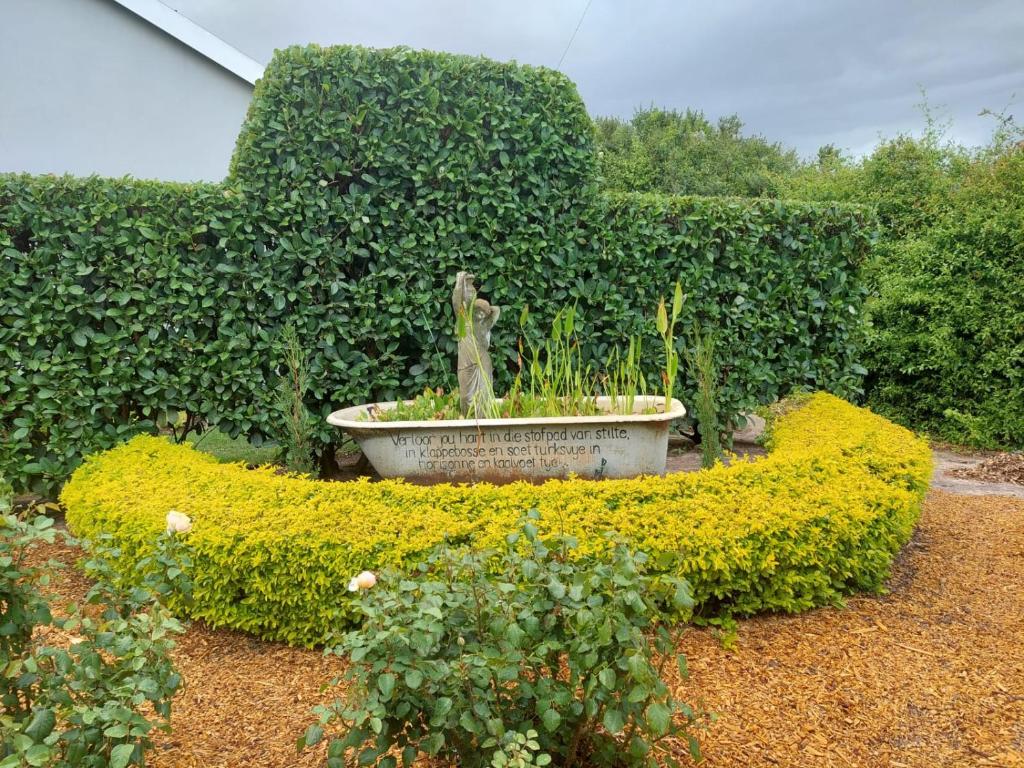 Kimi's Cottage photo 1
