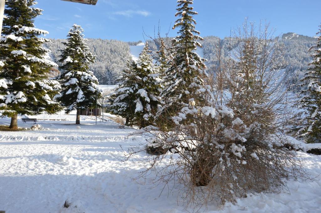 VILLARD DE LANS photo 2