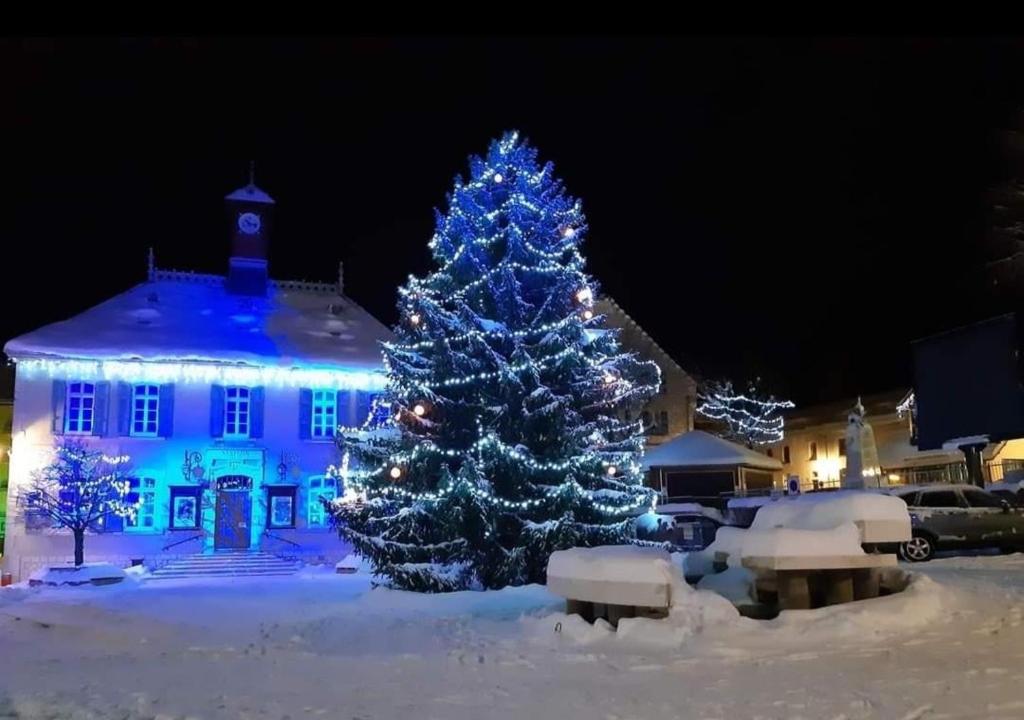VILLARD DE LANS photo 4