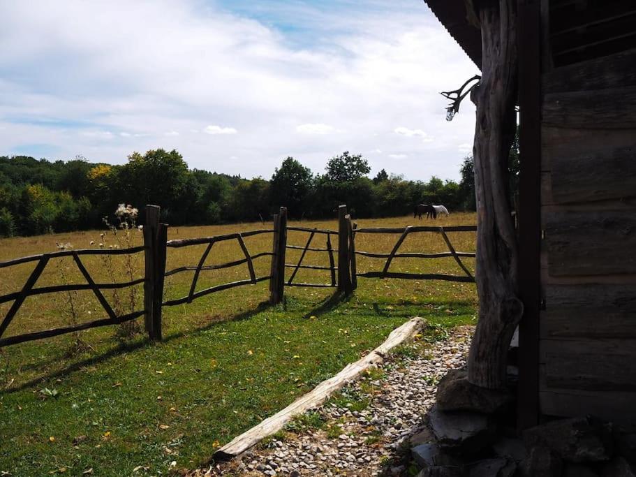 Privéparadijs,Houtvuur,Ongerepte natuur, Ardennen. photo 1