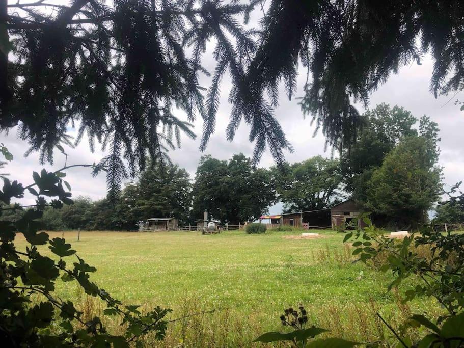 Privéparadijs,Houtvuur,Ongerepte natuur, Ardennen. photo 2