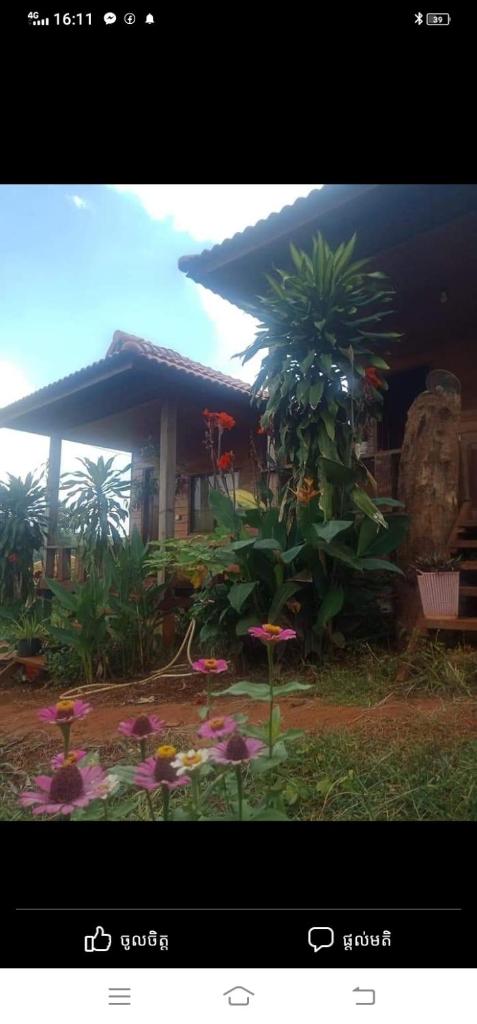 Happy bungalow & trekking photo 4
