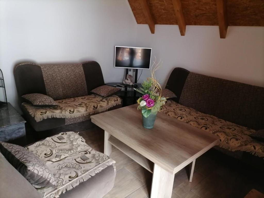 Vila Vlajić 2015 photo 3