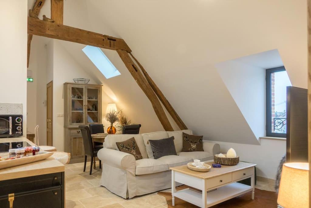Appartement Lamotte-Beuvron photo 3