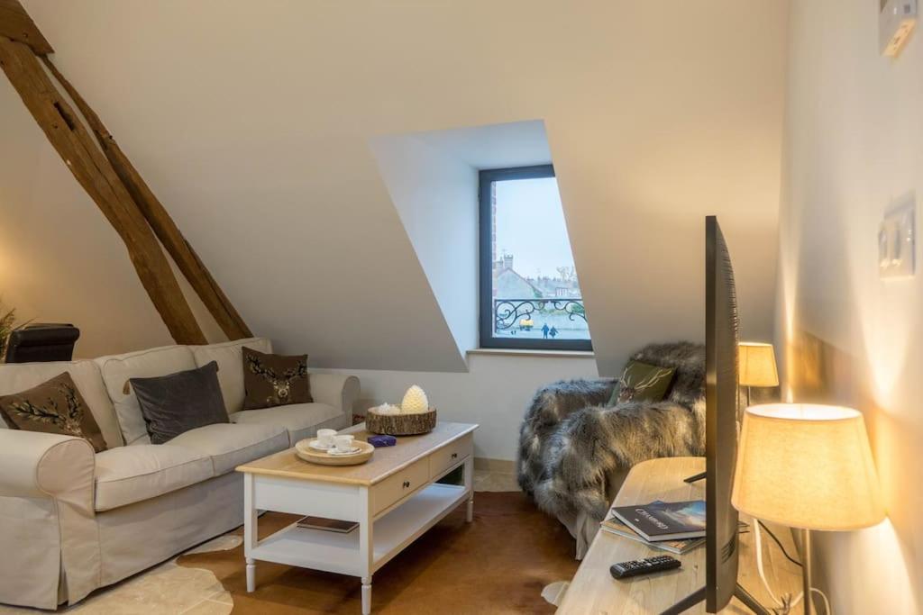 Appartement Lamotte-Beuvron photo 1