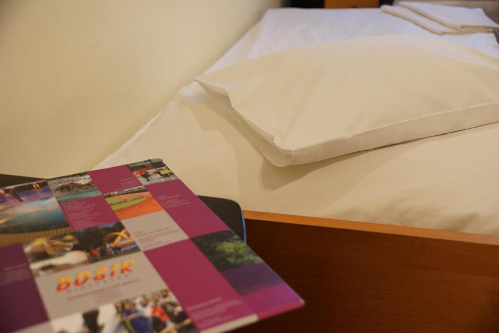 Двухместный (Двухместный номер с 2 отдельными кроватями), Hotel BOSiR