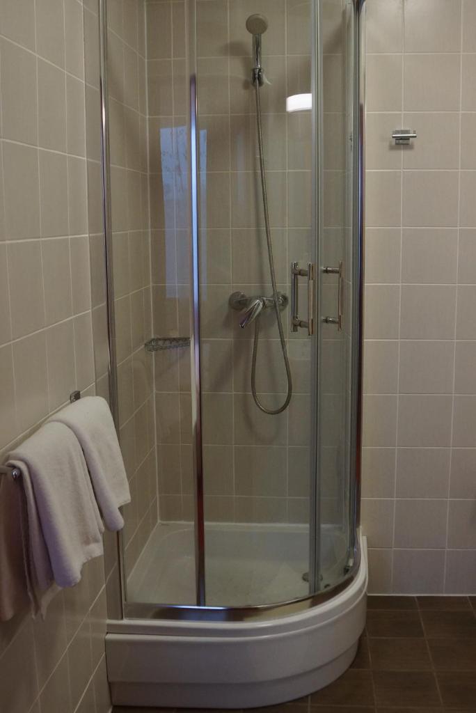 Двухместный (Двухместный номер Делюкс с 1 кроватью), Hotel BOSiR