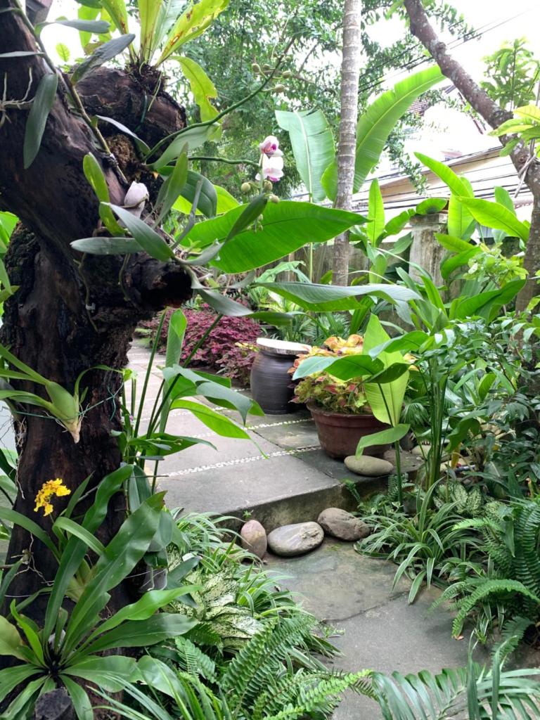 Sunny Garden Homestay