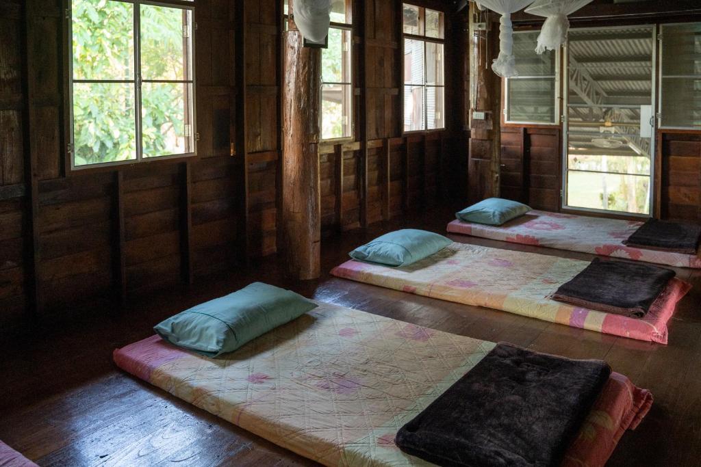 Art House at Chiangdao - Waterlily House photo 1
