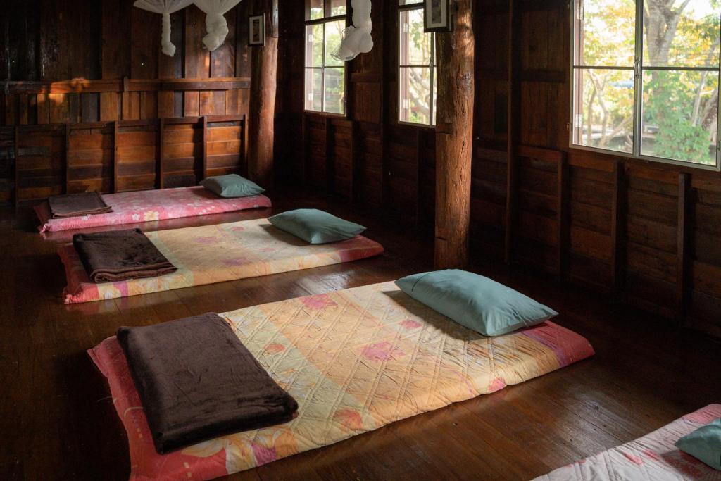 Art House at Chiangdao - Waterlily House photo 4