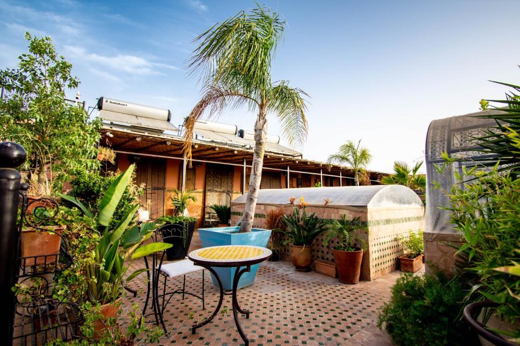 Riad le petit ksar photo 2
