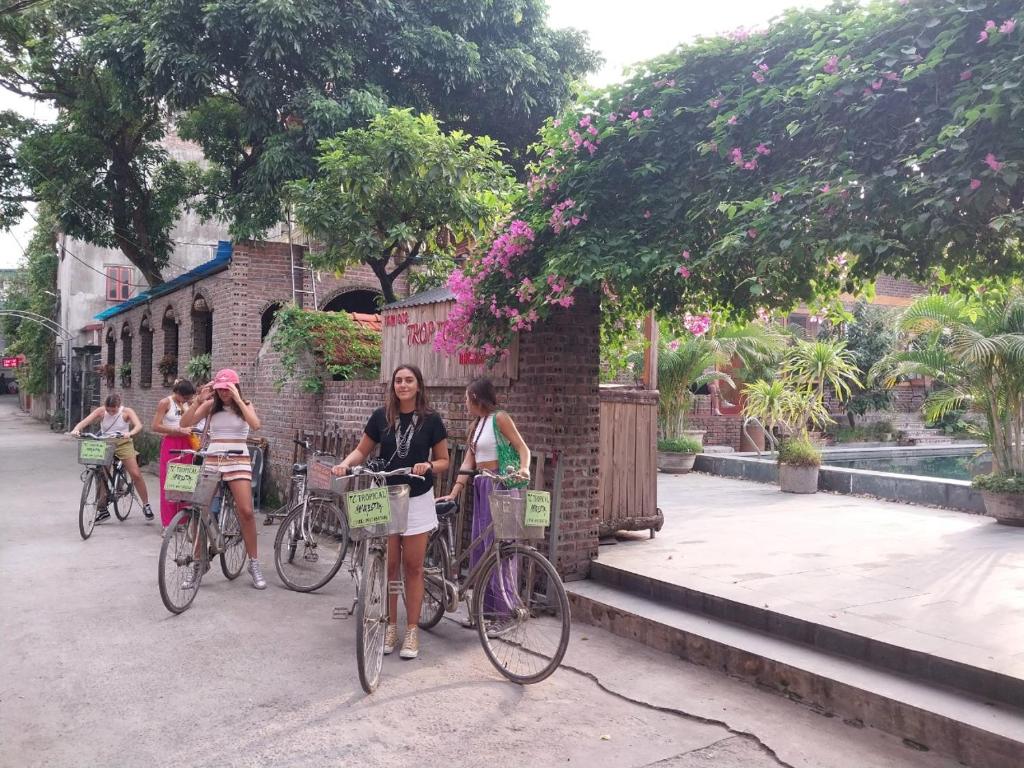 Tam Coc Tropical Homestay