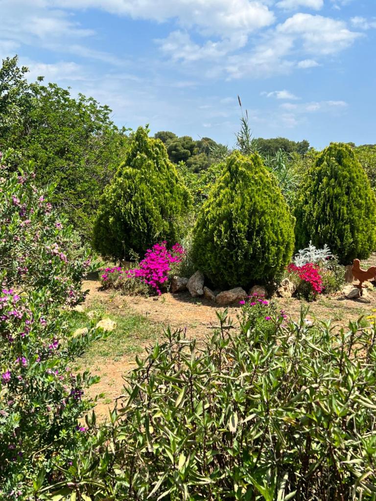 giagias family farm photo 3