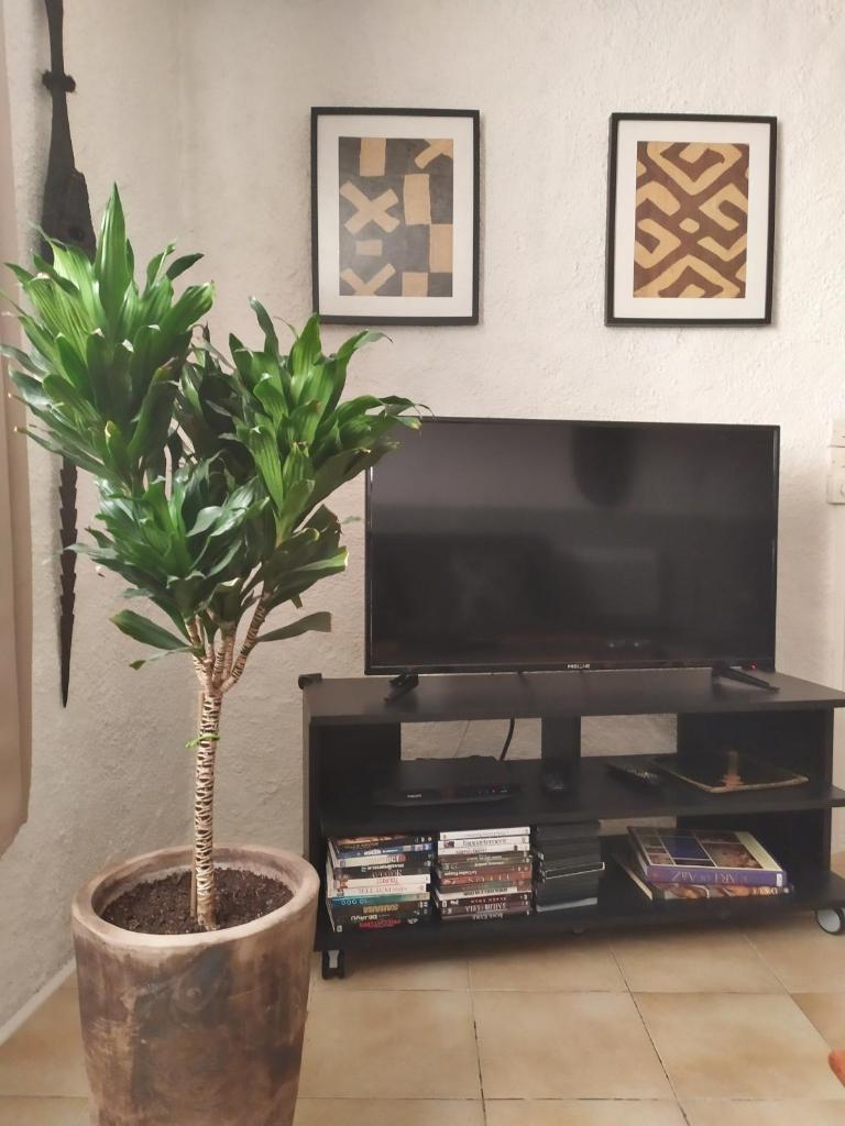 Appartement 55 m² tout confort photo 2