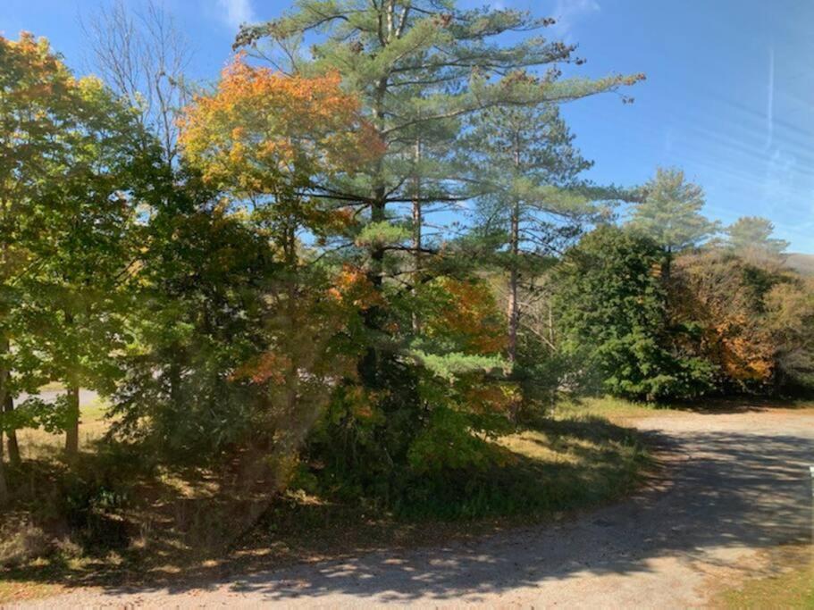 North Getaway Cottage photo 1