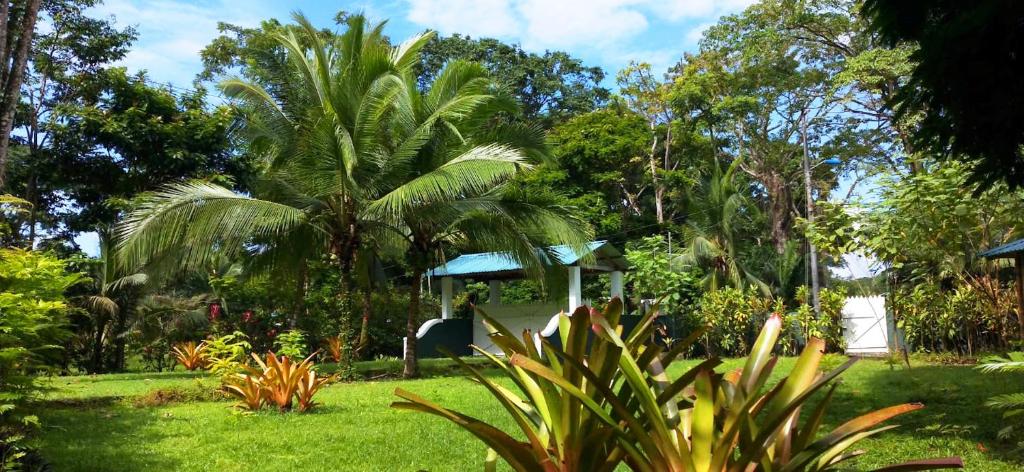 Private Villa on 2-Acres of Jungle Garden & Pool photo 4