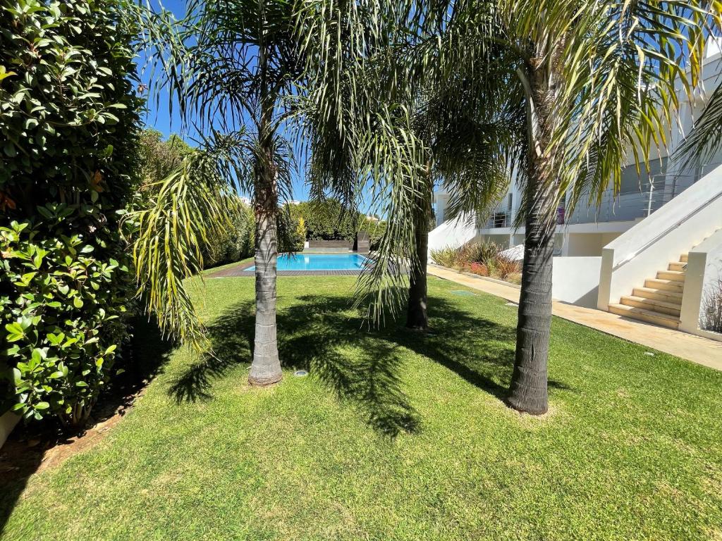 Albufeira Lux Apartment photo 3
