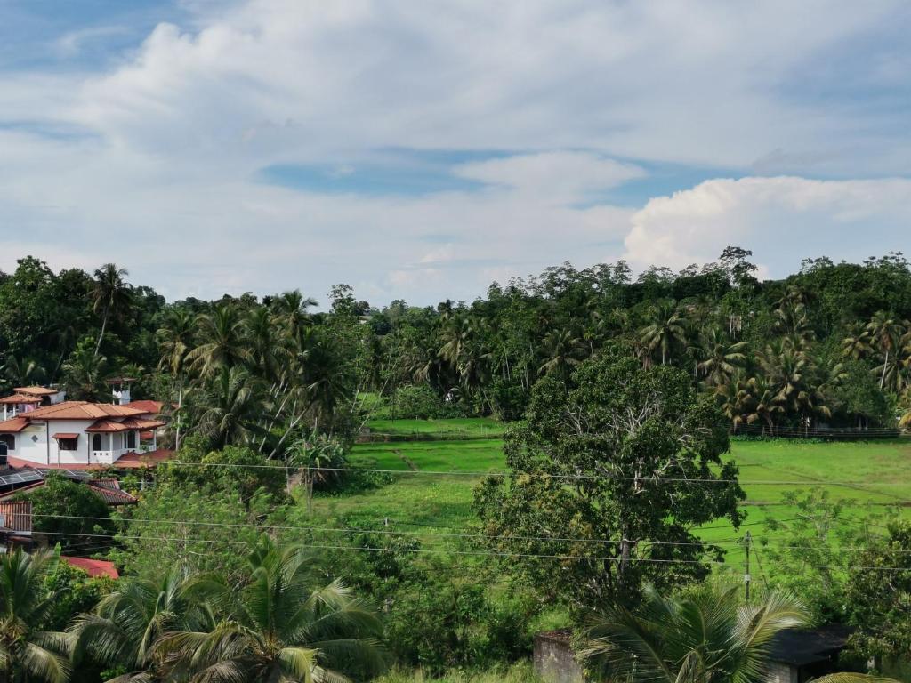 Y Villa Residencies photo 1
