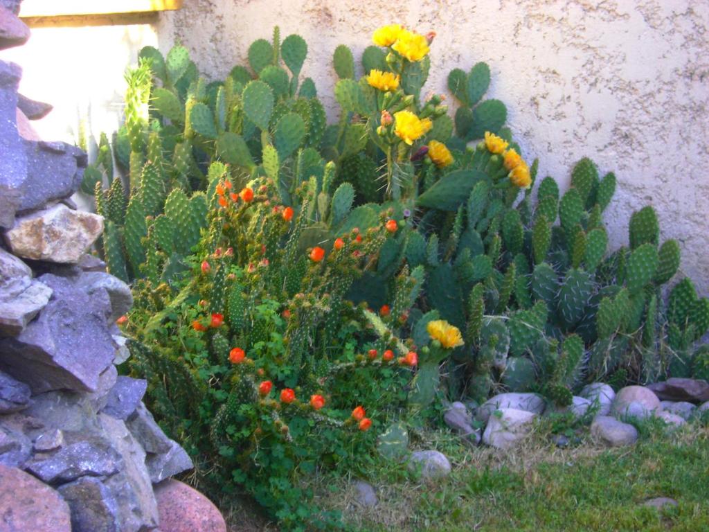 Pasos Andinos B&B photo 3