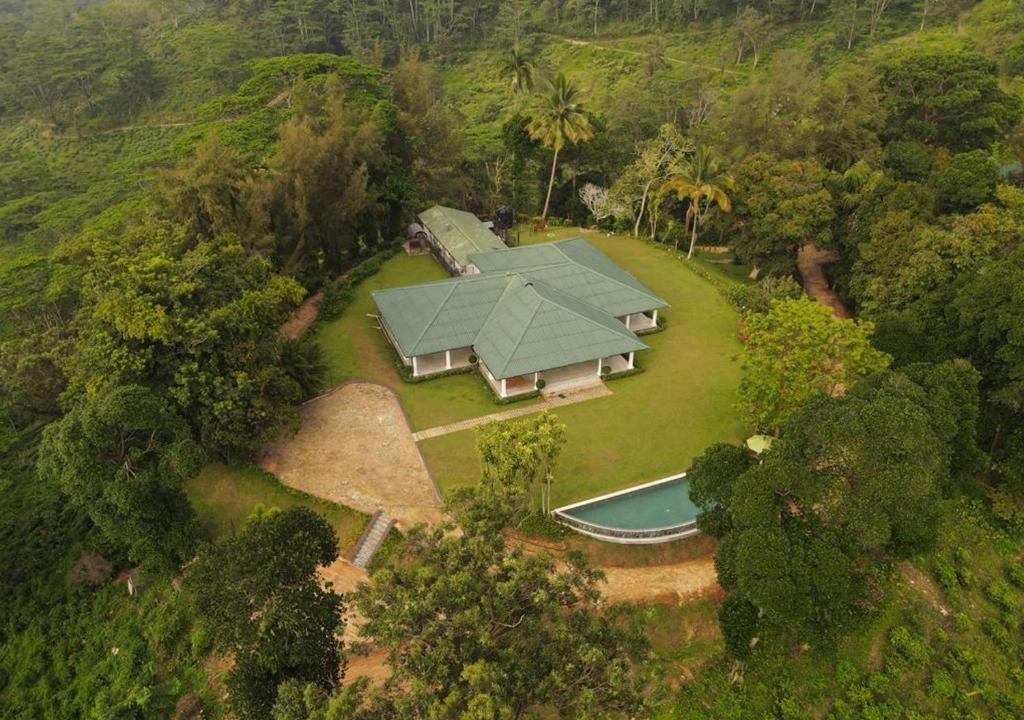 The Estate 1920 photo 1