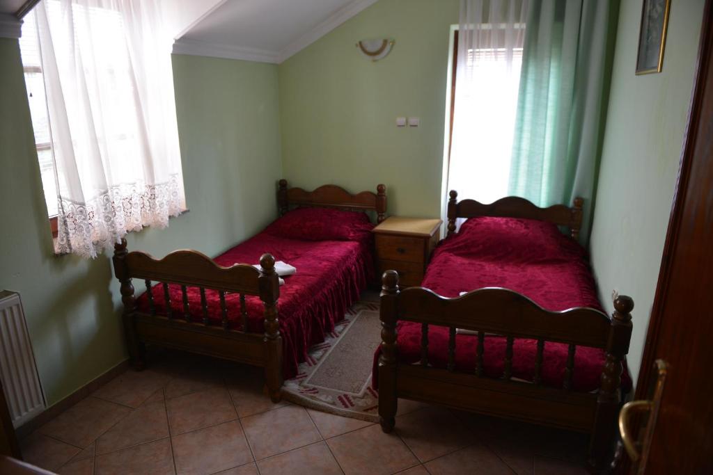 Sneža photo 2