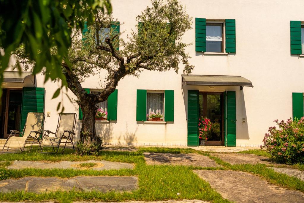 GATTO IN VIGNA photo 4