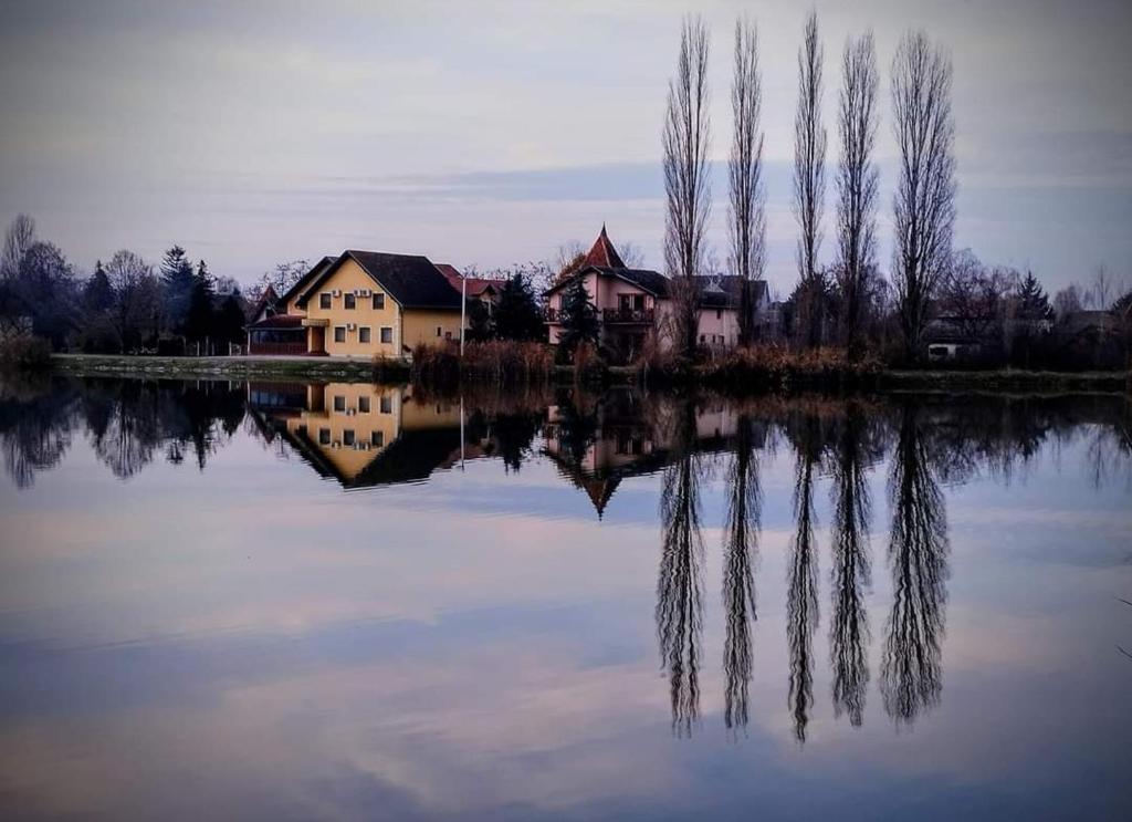 Guest House Vila Alexandar photo 4