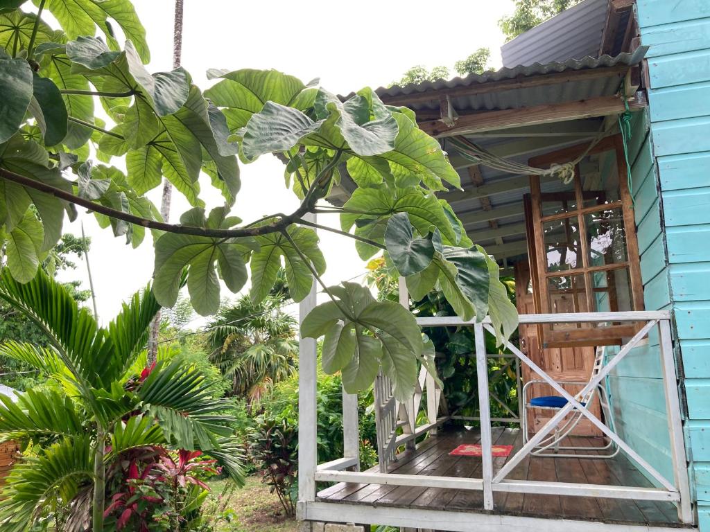 The Likkle Nature Queen Cottage photo 1