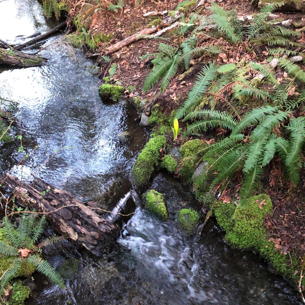 Lake House photo 4